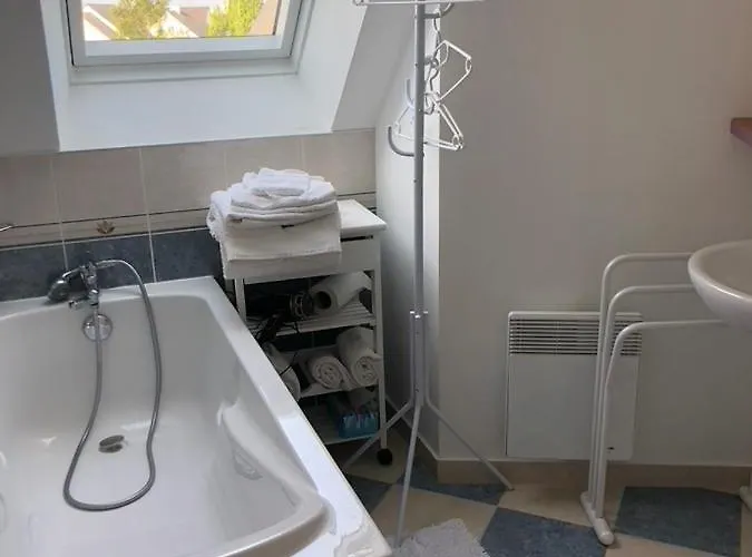 Camélia Rouge Couette-café